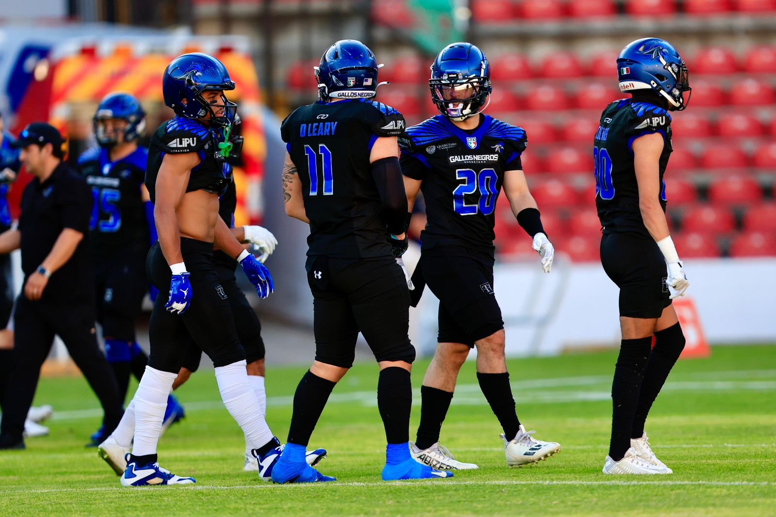 Gallos Negros se enfrentara ante Reyes de Jalisco